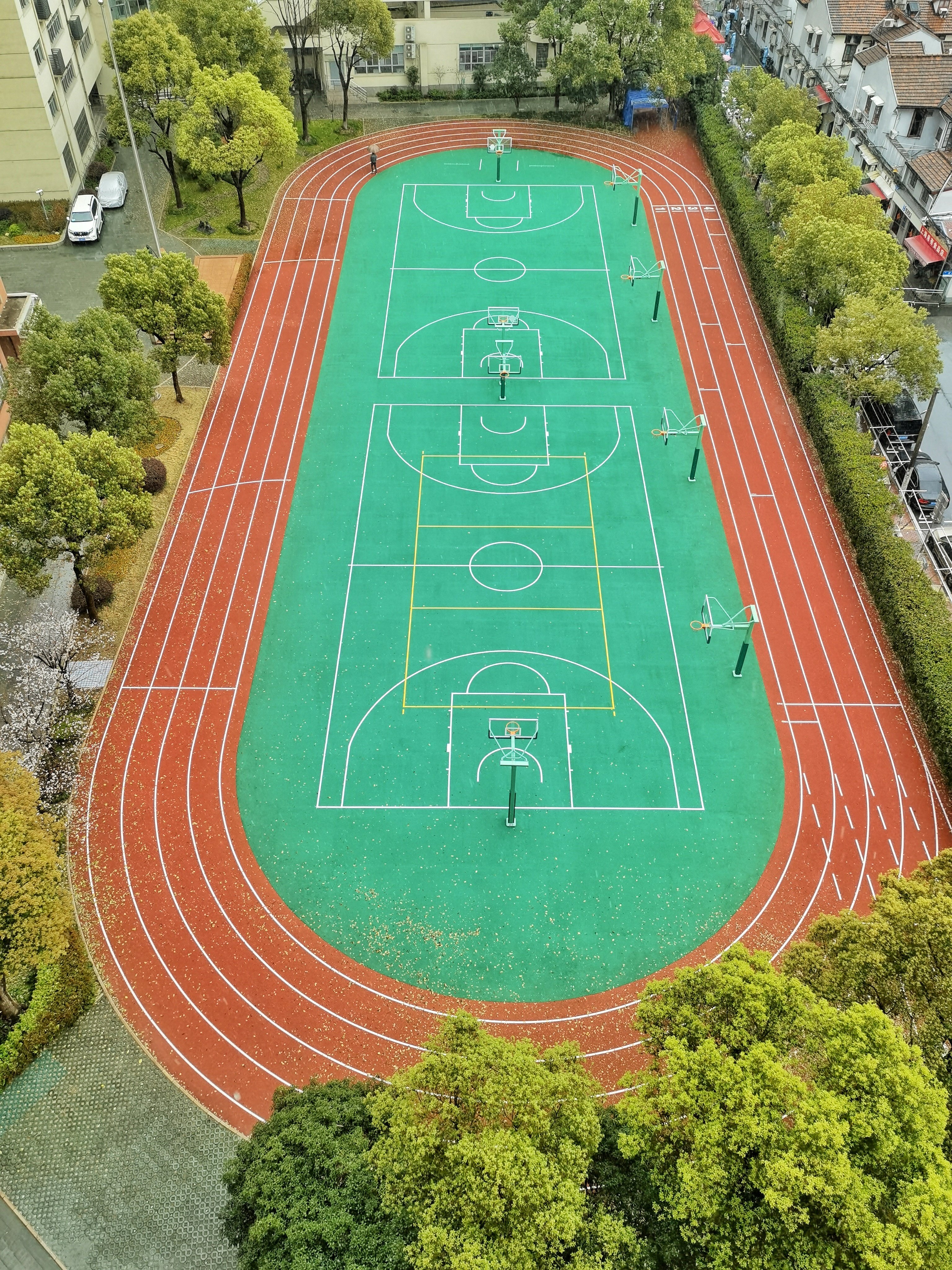 云游校园丨雨打樱花,春语校园——上海市格致初级中学