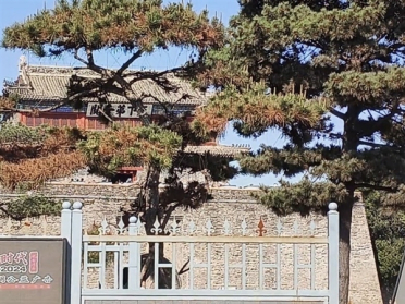 不买票拍不到天下第一关！游客吐槽山海关景区故意种树遮挡景观