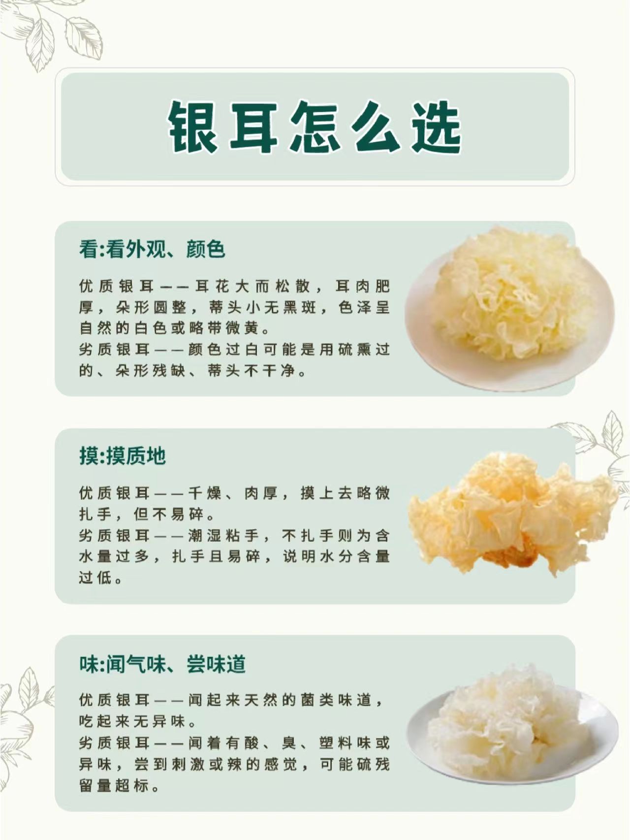 「银耳」有什么功效呢?我们一起来看看