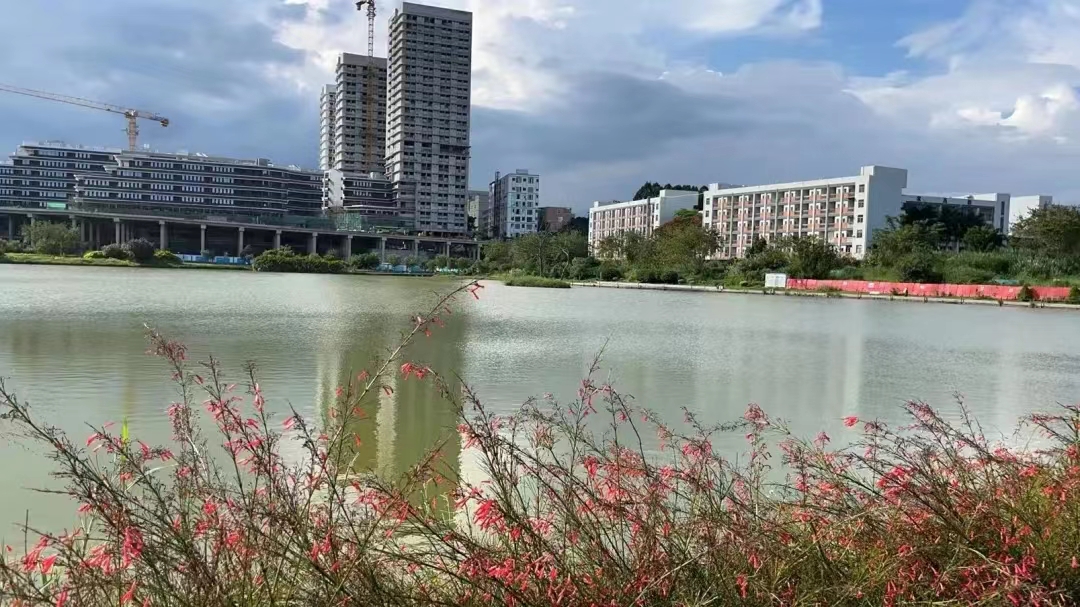 龙岗坪地统建楼小产权房《学府新城》可落户永久性产权