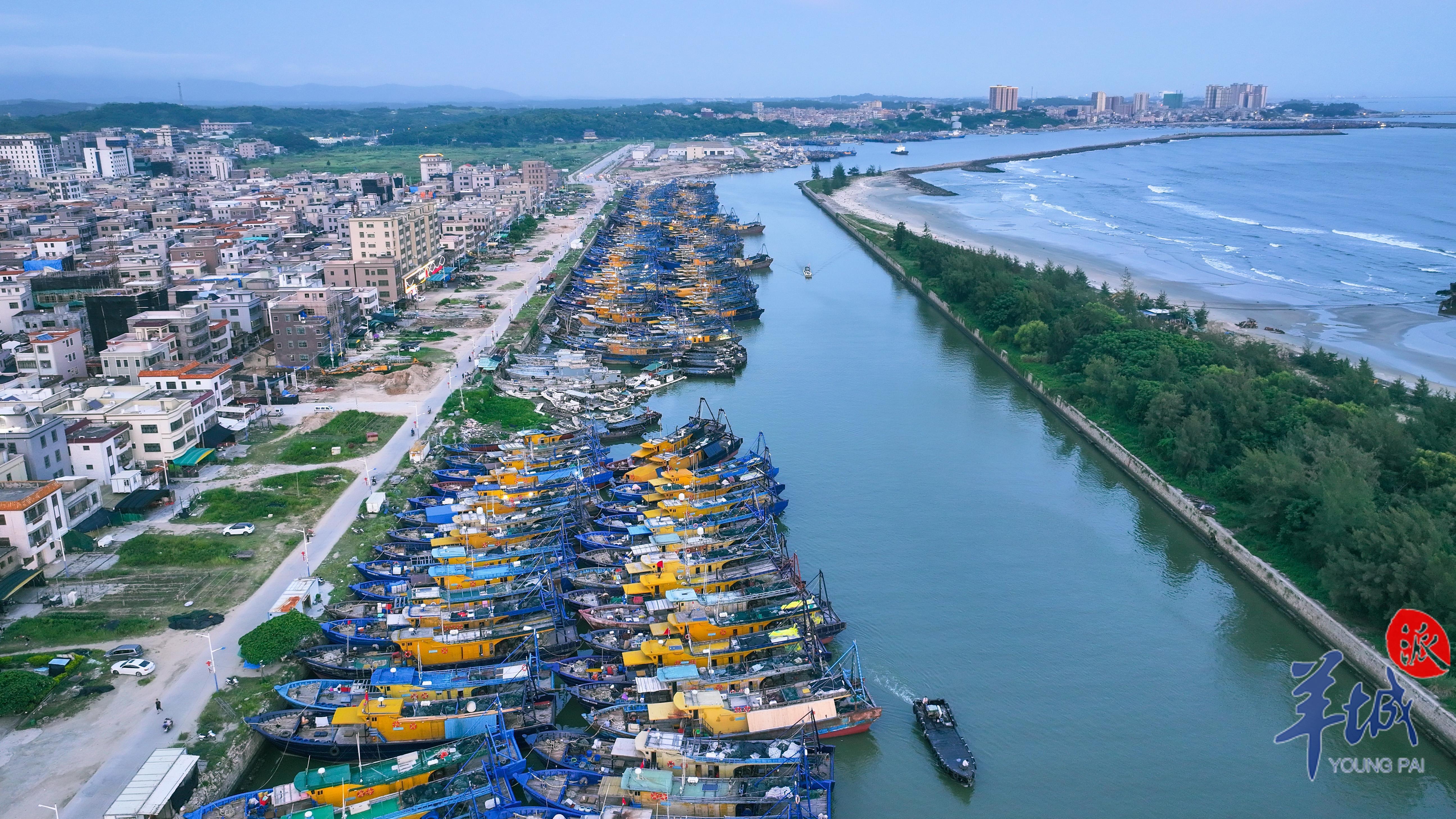 视频 图集|开渔在即!惠来神泉港千帆待发