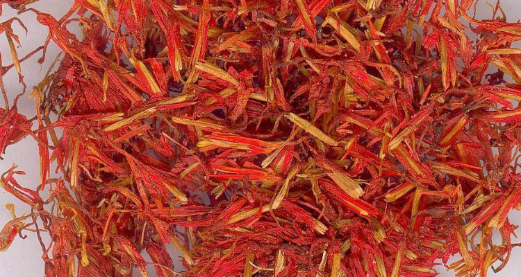 包粽子用的植物红蓝