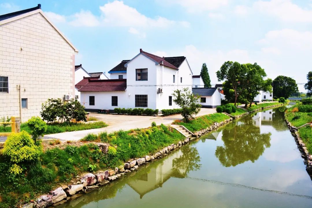 练塘这个村人居环境大提升,乡村颜值再提"靓"