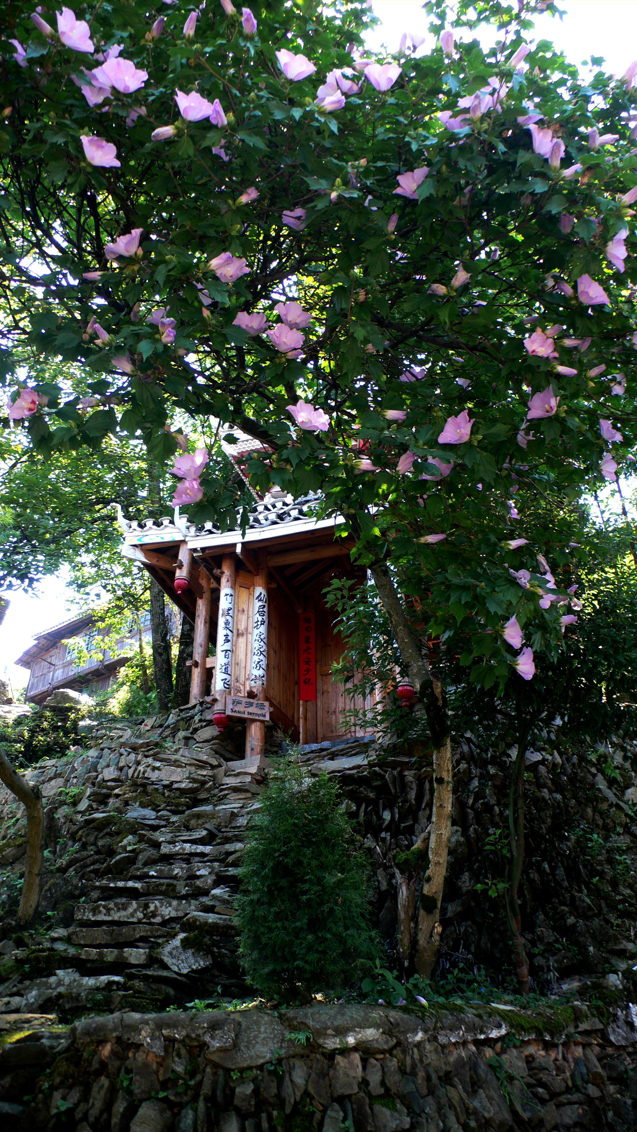 2160_3840竖版 竖屏