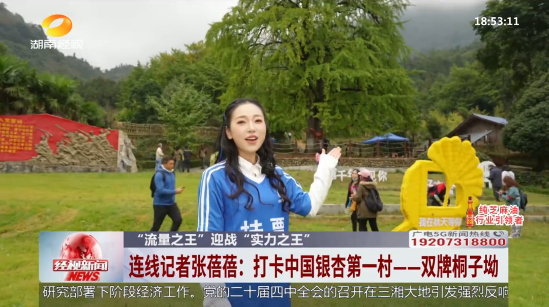 湖南经视记者现场连线双牌桐子坳,青龙岩景区