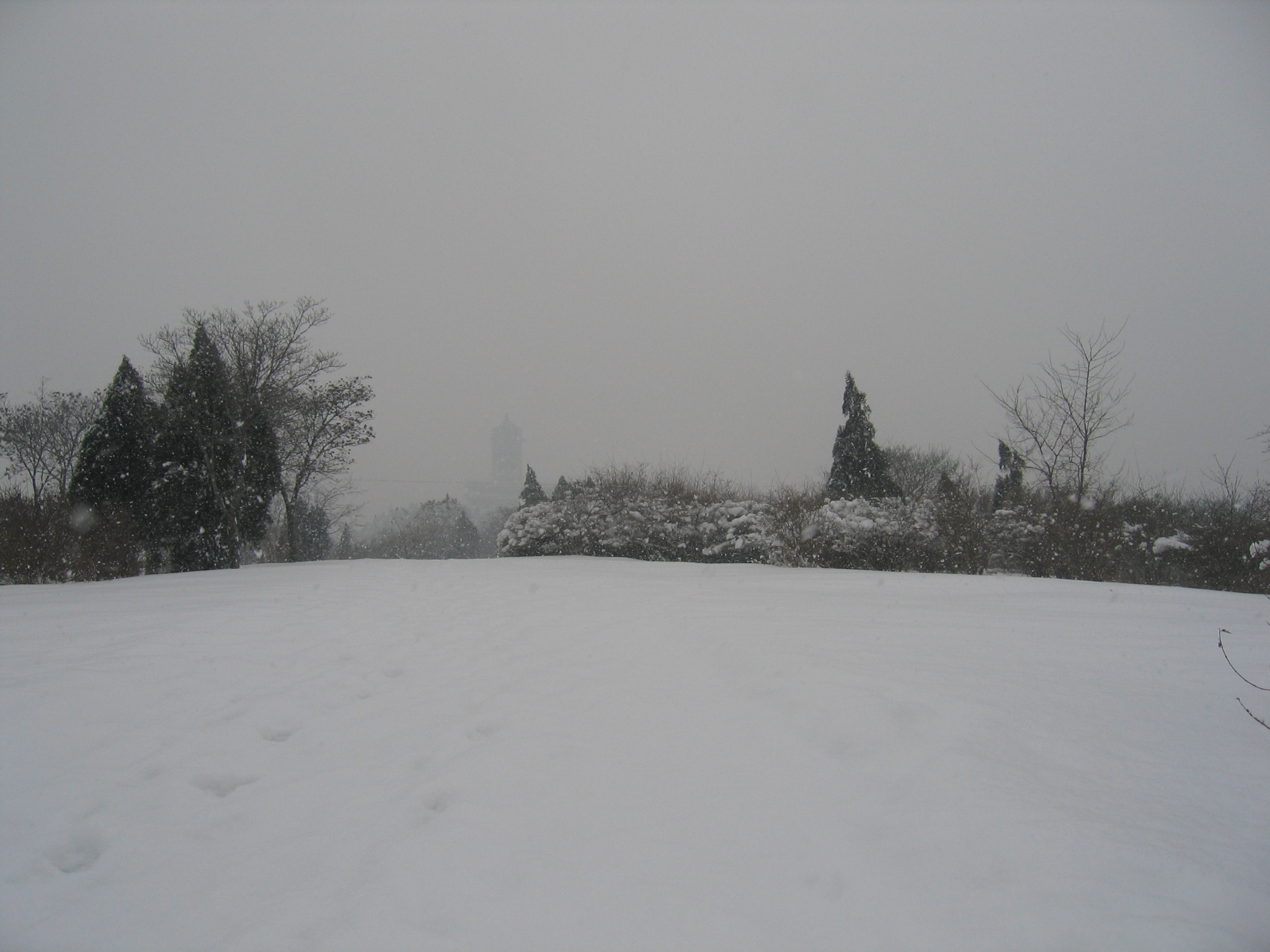 老照片2005大连甘井子樱花街(圈里——大化一宿舍)小编c723船船老长