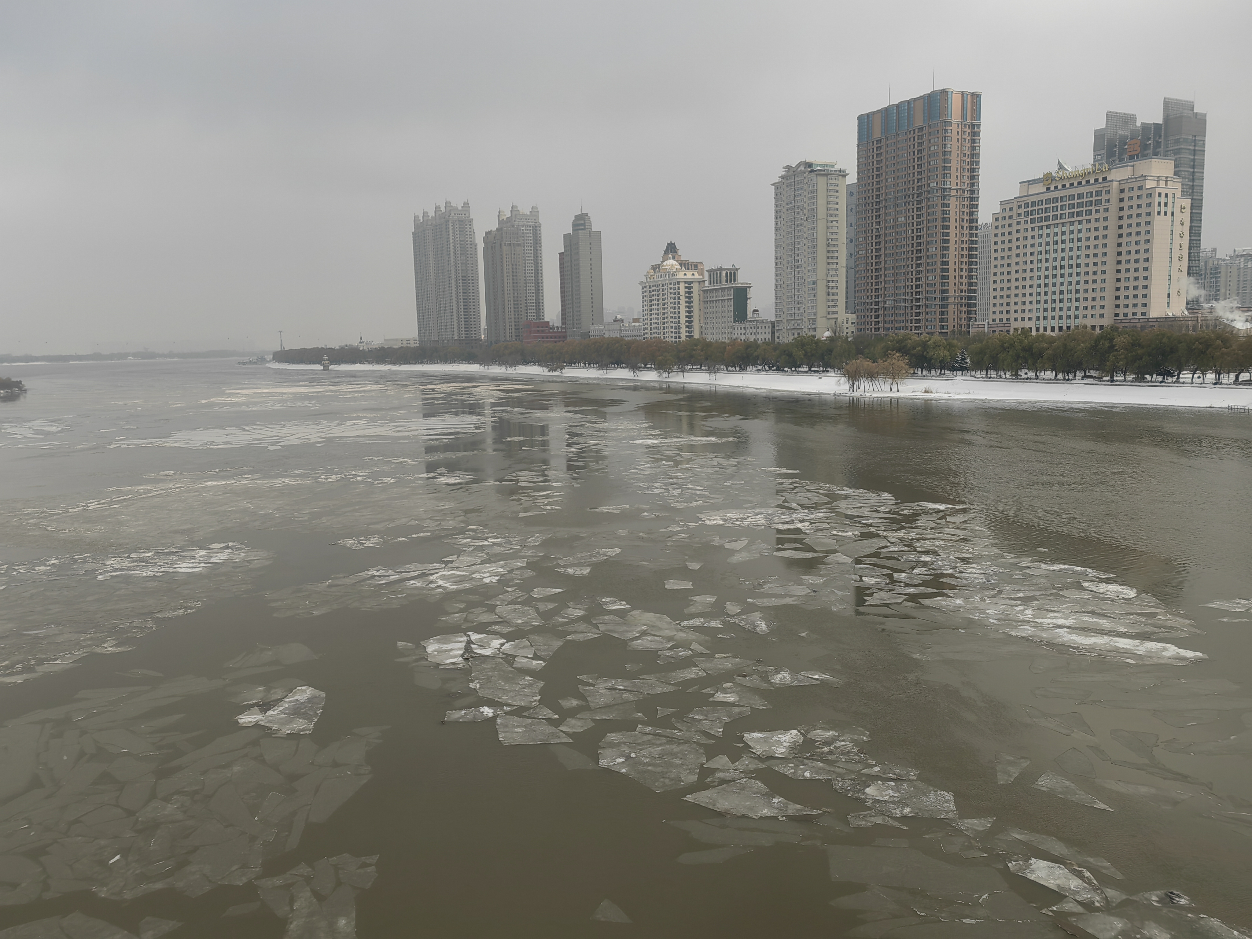 松花江哈尔滨段开始跑冰排了