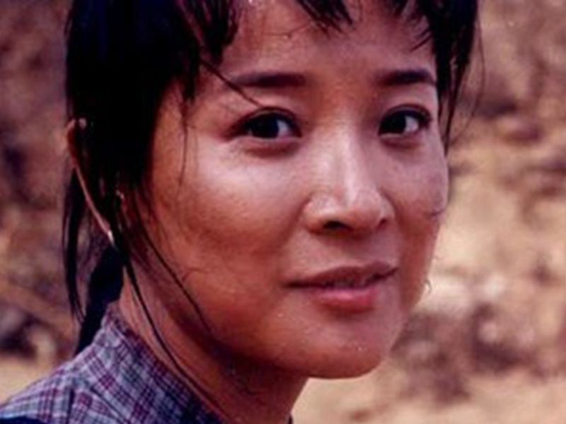 高大山司令是什么电视剧?剧中秋英的饰演者是谁?