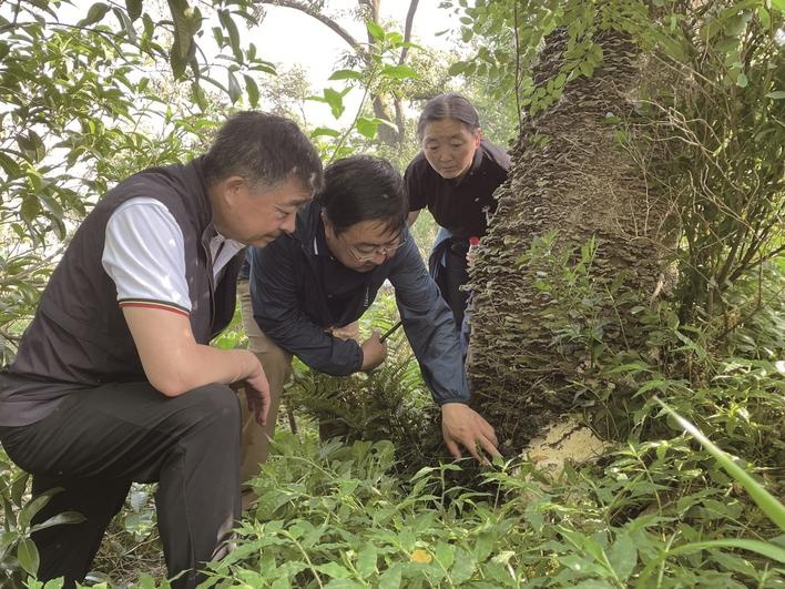 安惠生物科技