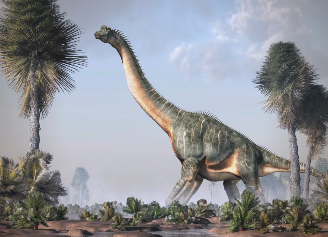 腕龙:恐龙界的"大高个"与独特的生活习性