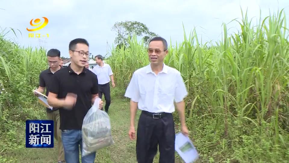 丘志勇带队调研阳江市污染防治工作