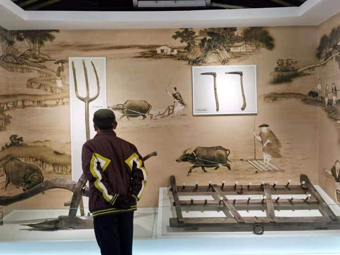 视点|耕织图景观历史文化展开放 追忆270年历史变迁