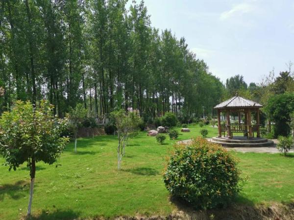 新蔡县陈店镇:人居环境净起来乡村生活美起来