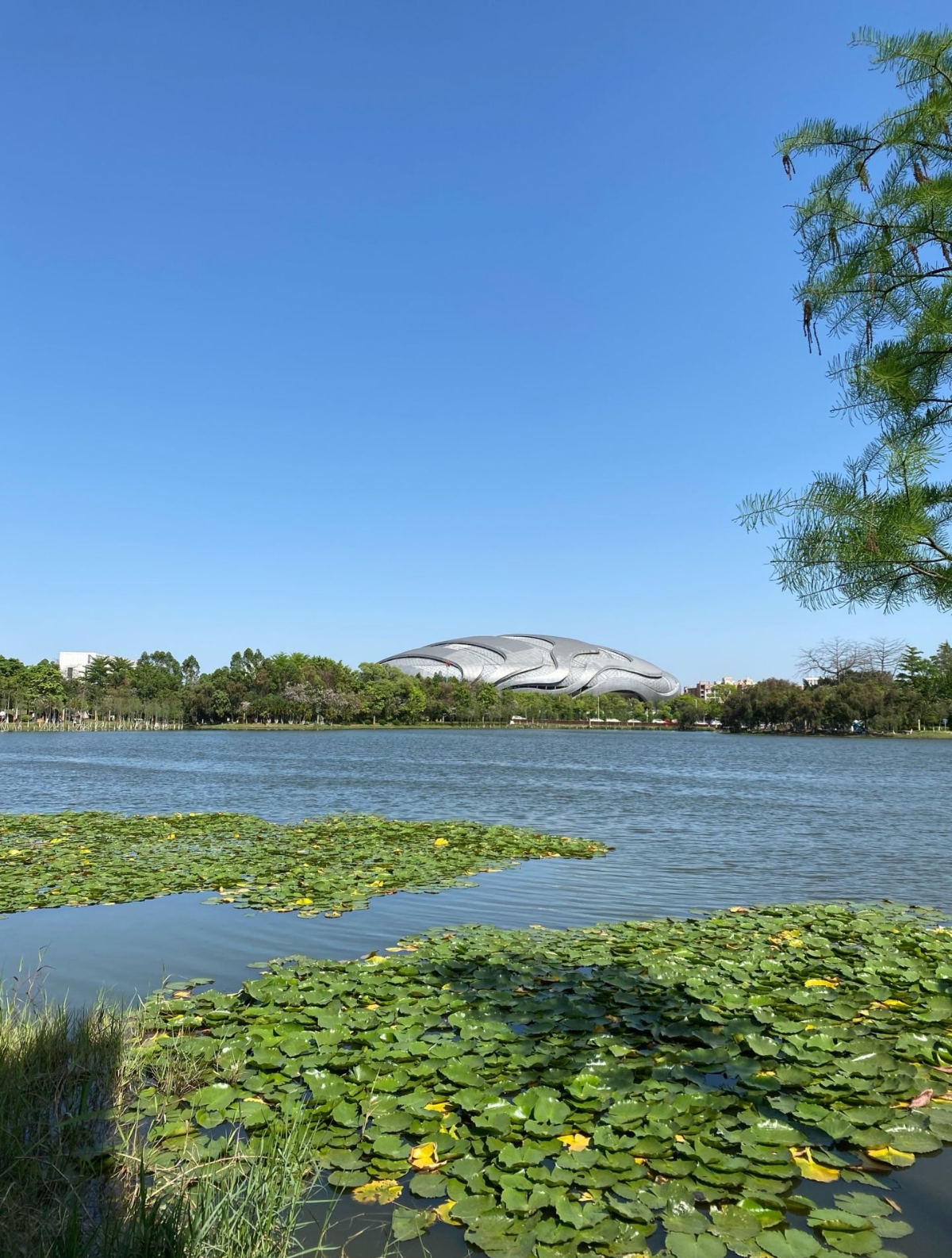 广州大学城一日游攻略