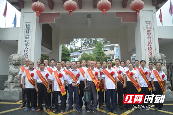 桃源县马鬃岭镇:召开2023年"七一"党员表彰大会