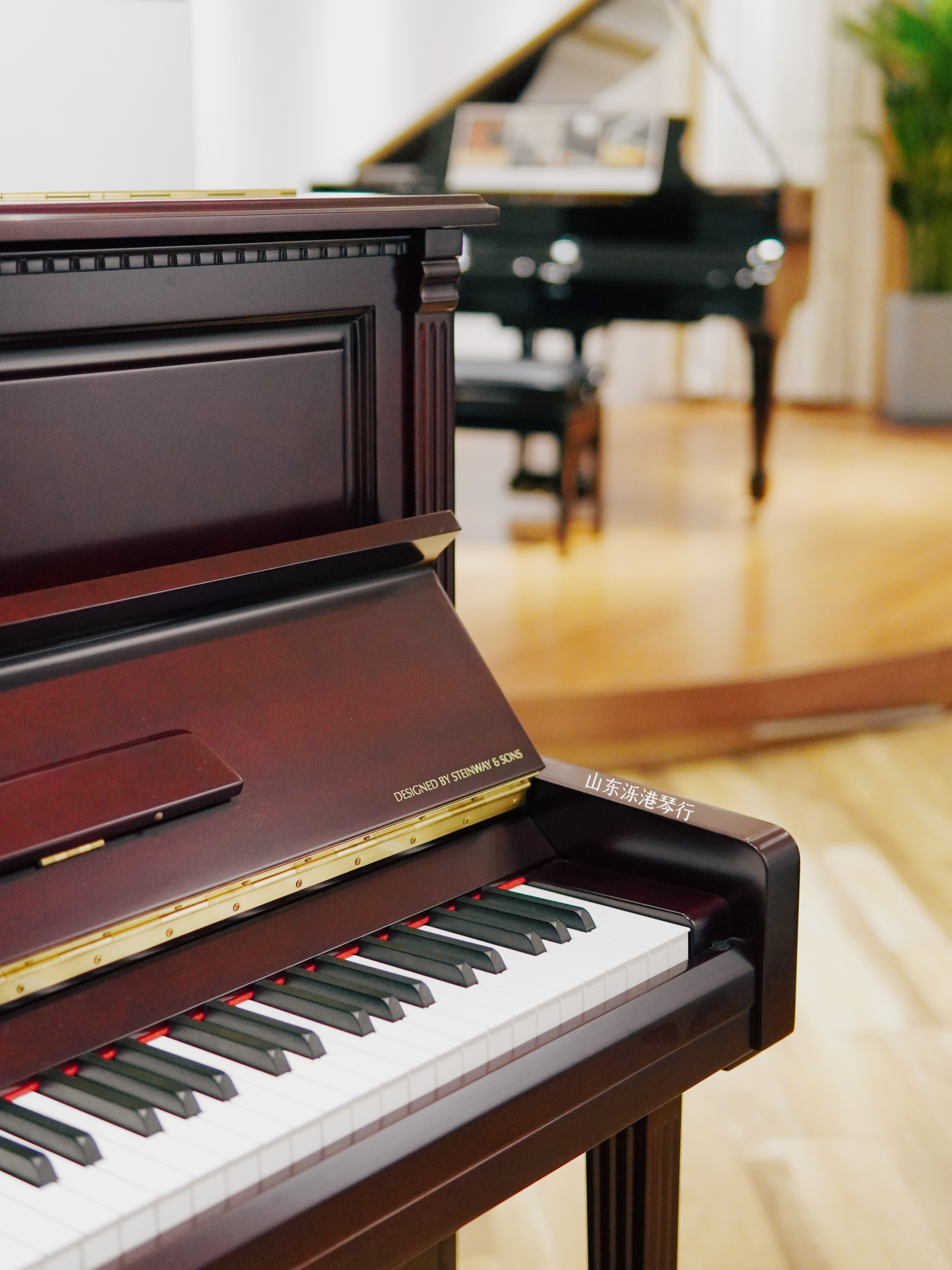 济南艾塞克斯钢琴eup123去哪里买?