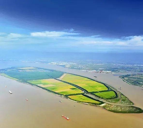 靖江马洲岛首次观测发现"鸟中大熊猫"