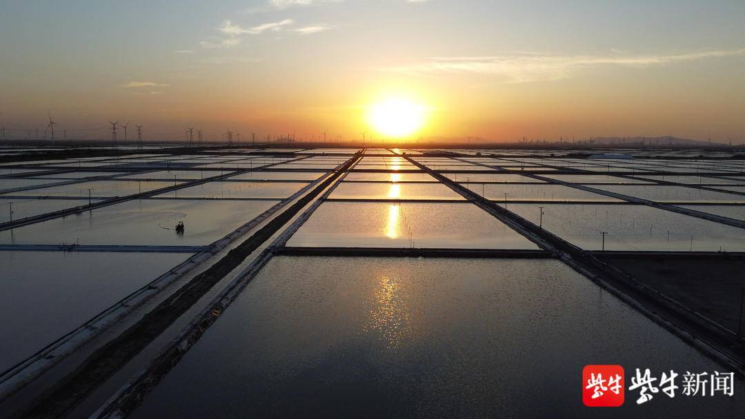 连云港灌西万亩盐田"秋扒"忙