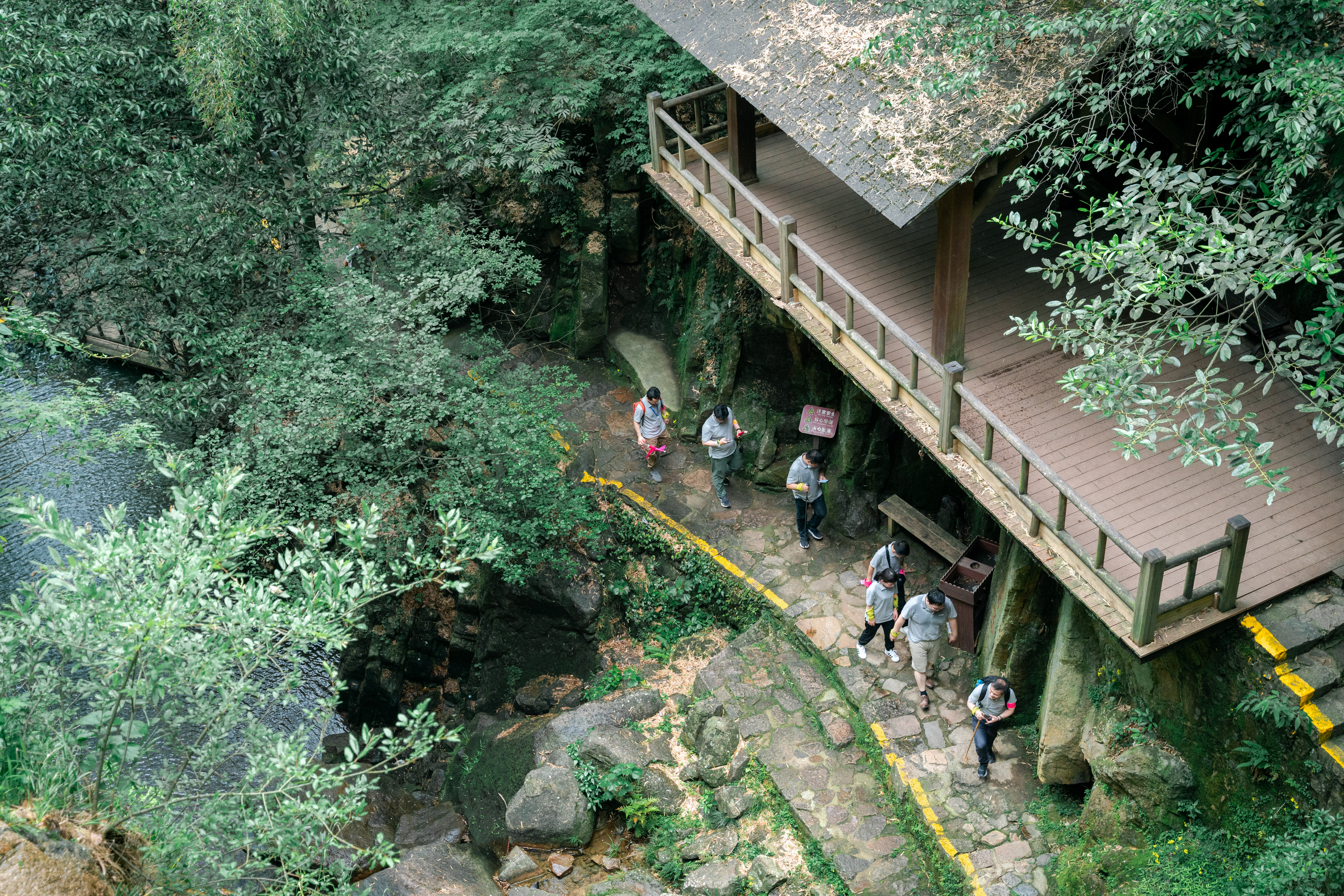 驴友们请注意!莫干山团建徒步线路详解,来一场说走就走的旅行!