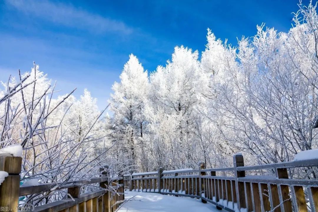 【第十八届阿尔山冰雪节】冰雪节系列 | 阿尔山冬日景区景点都有哪些