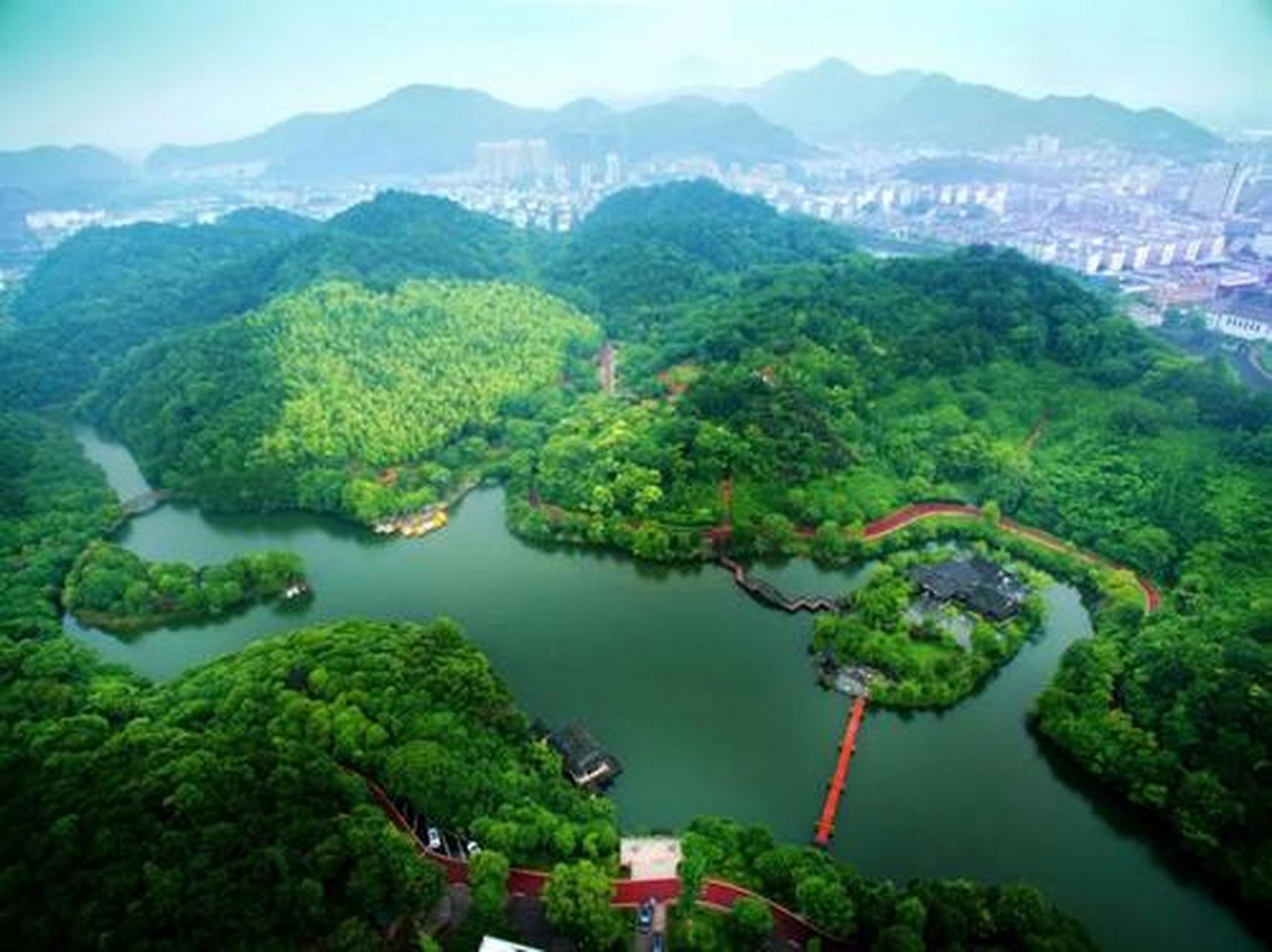 这种脉位,称为斜飞脉,与"反关脉"类同. 来自一位中域老师的