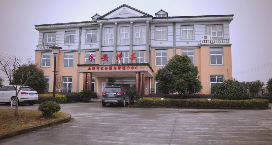 永安村:现代农业与美丽乡村的完美结合