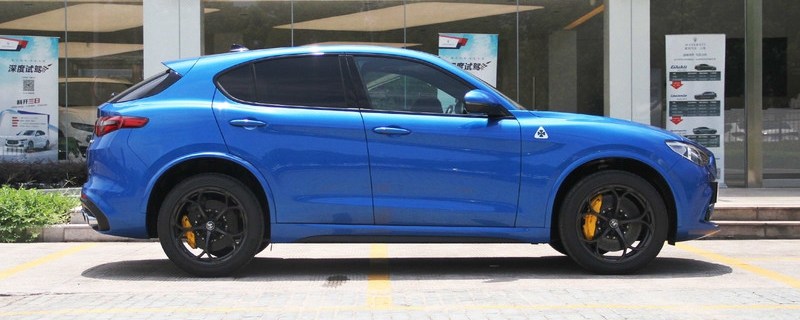 一个十字架一条龙车标是什么车