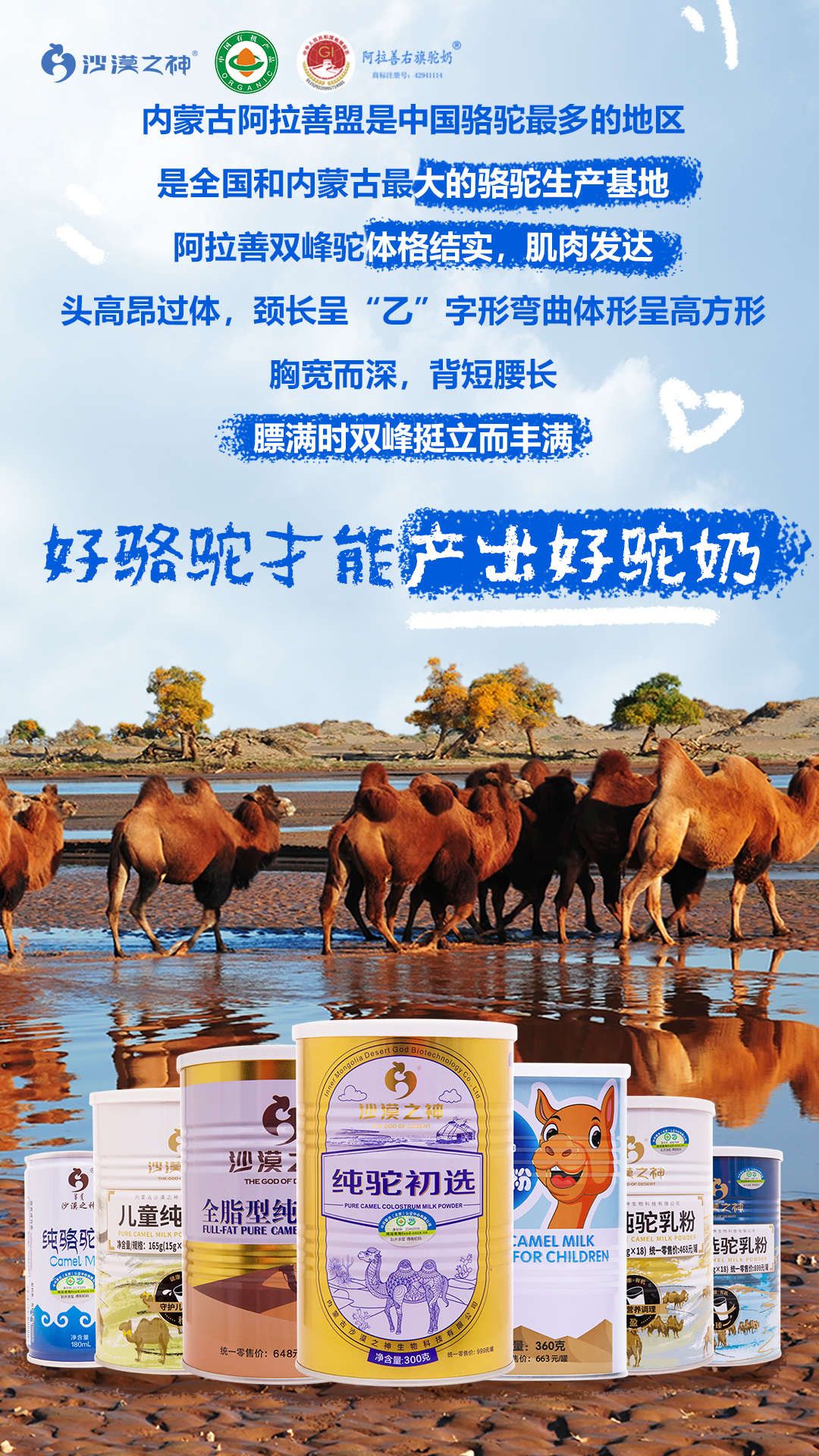 沙漠之神:喝了这么多驼奶,都不知道哪里的骆驼?你能放心吗?