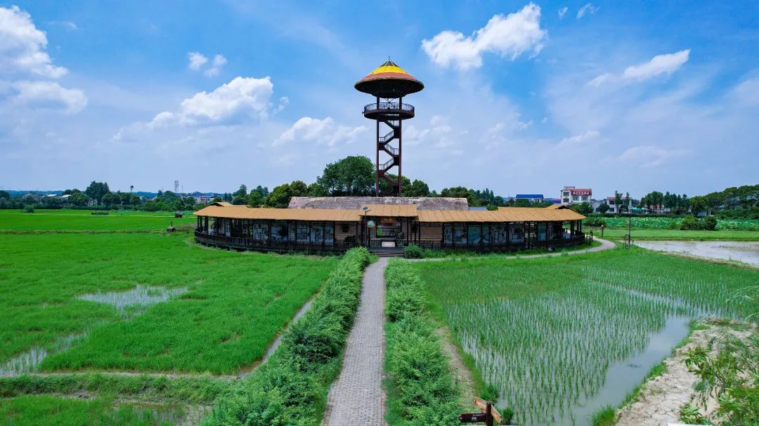 这个旅游日,在宁乡这么玩