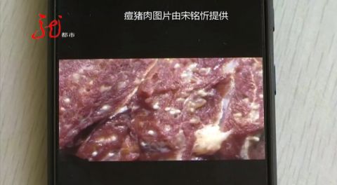 长痘的猪肉图片大全图片