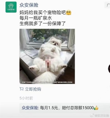 宠物险广告现女性私密部位 低俗营销引争议 涉事公司回应