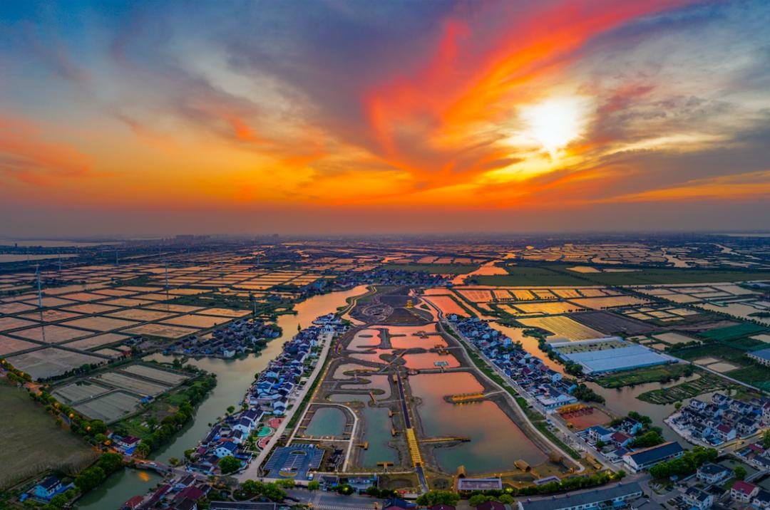 非凡十年 | 度假区(阳澄湖镇):高质量谱写新时代鱼米之乡苏州样板的