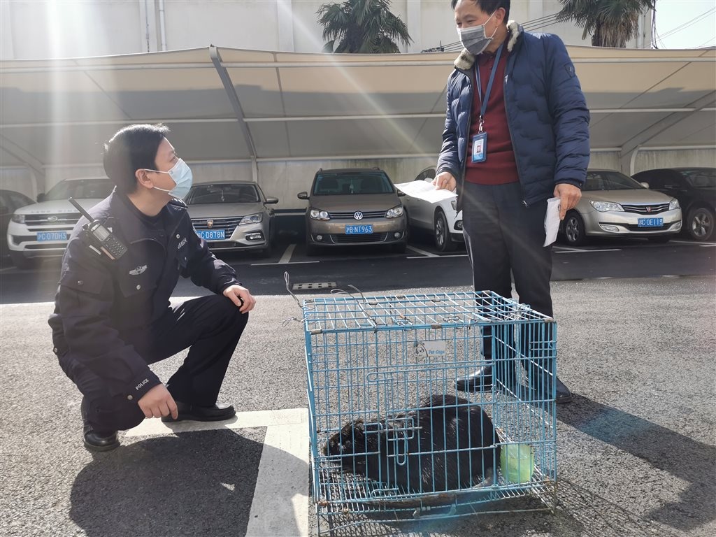 野生动物进入城市生活圈 路上捡到白鹭,草狸獭该如何处置?