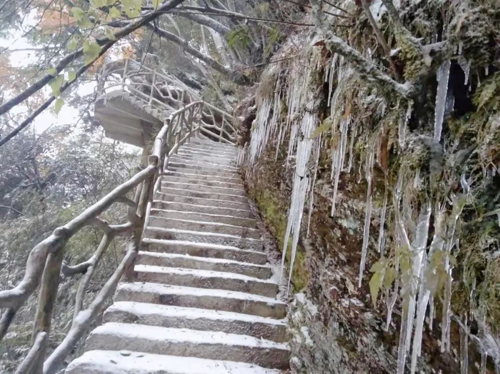 巴山大峡谷红豆杉栈道图片