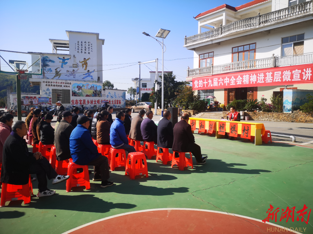 社区工作法|"全国文明村"宁远县中和镇坦坝村探索"雁阵工作法"引领移