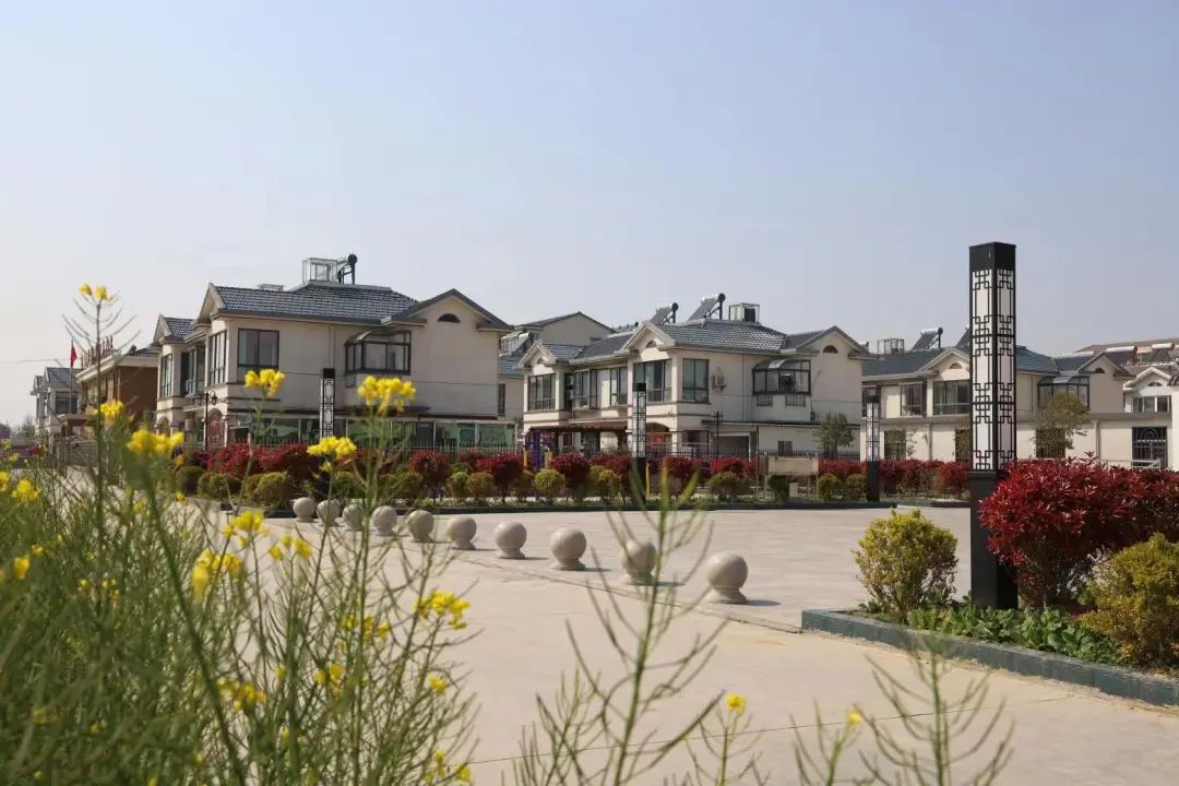 学思践悟二十大|临海镇:高扬思想旗帜凝聚奋进力量