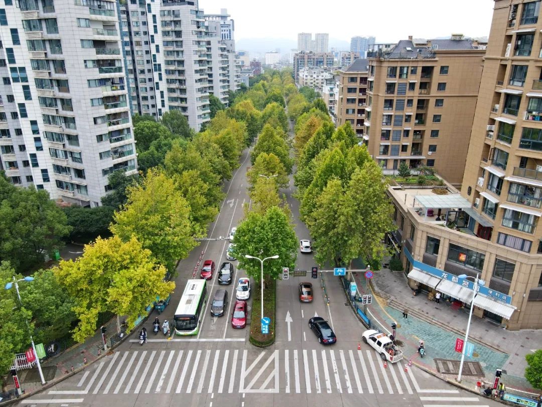 总投资1466.77万元,丽水市区大洋路要改造了