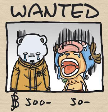 海贼王:一言不合就道歉的北极熊——贝波