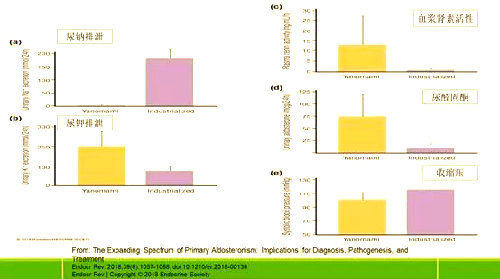 raas系统的核心功能与关联疾病探析