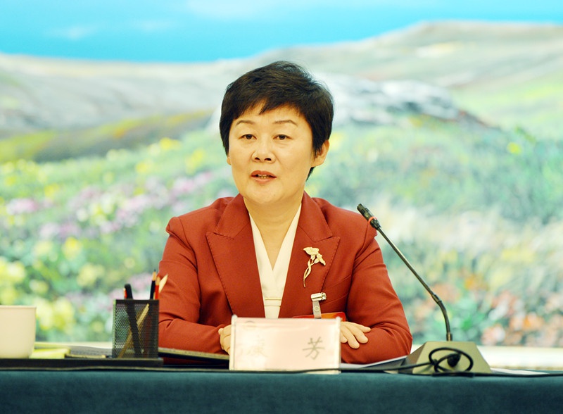 康芳参加政协社法委联组讨论
