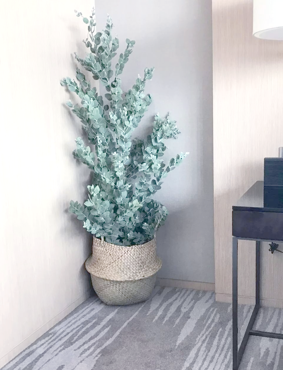 尤加利叶的魅力:低调中的治愈力量