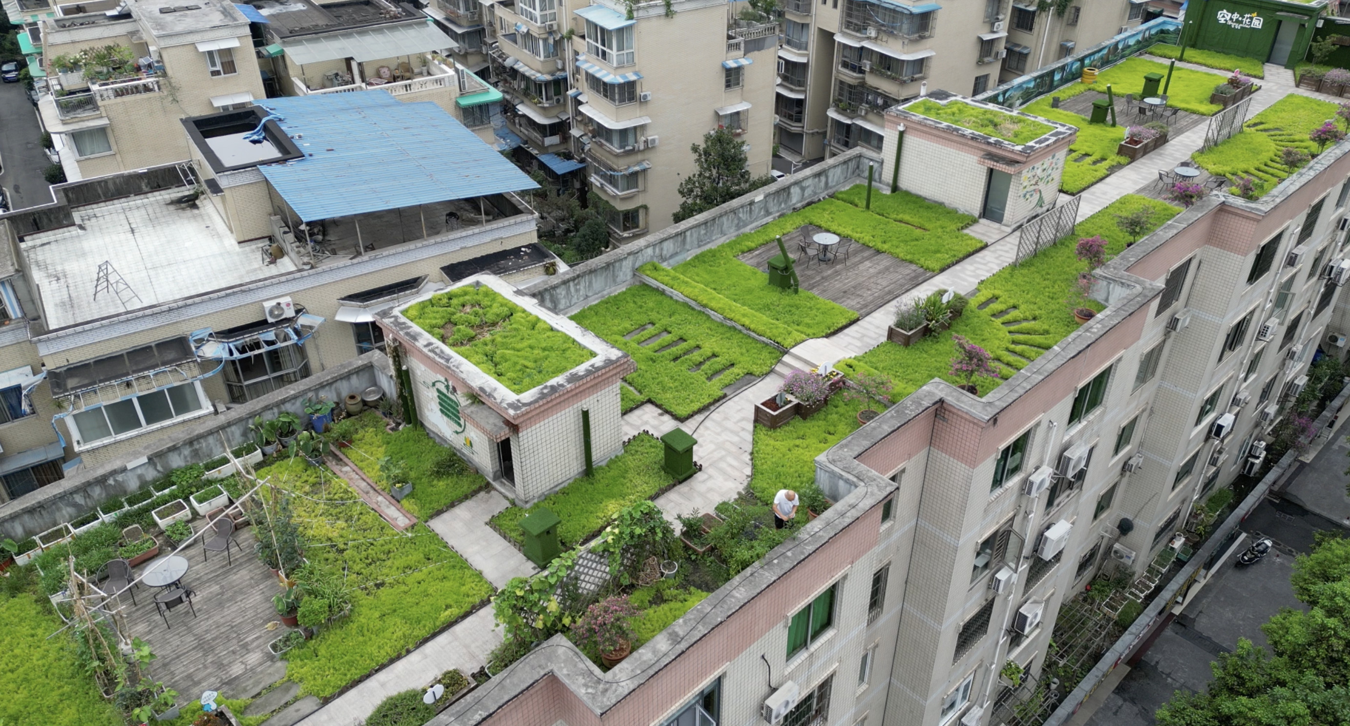成都一老旧小区屋顶被改造成1300平空中花园,社区:供大家休闲娱乐,若
