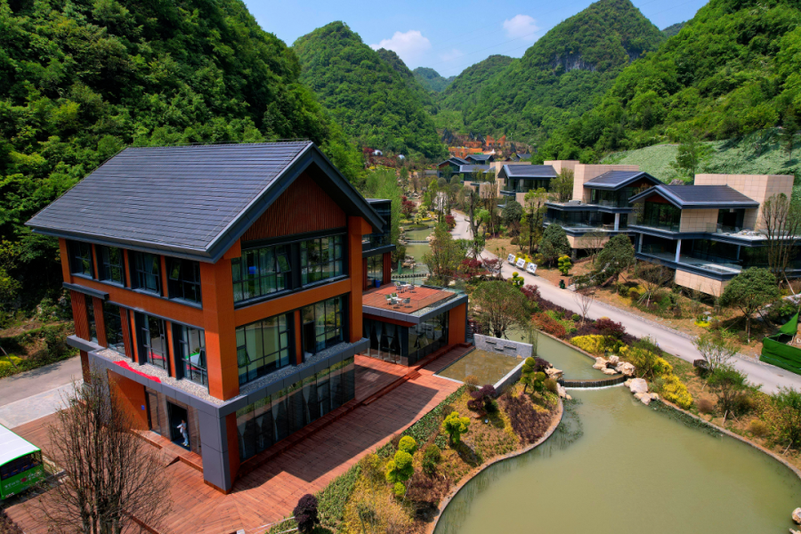 贵州旅游地标 ④|毕节百里杜鹃风景名胜区