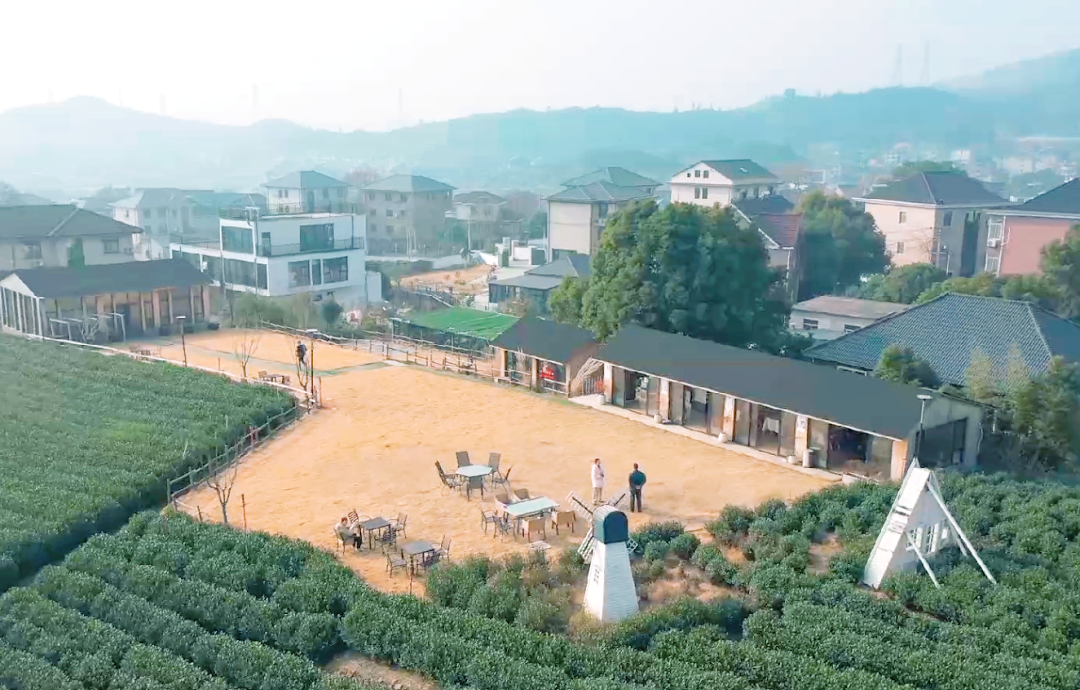 今日,让我们一同踏入富春街道拔山村的广阔茶园,探寻那片兼具书吧