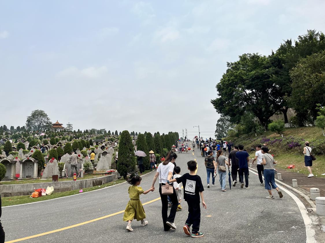 南海华侨永久墓园:清明节迎祭扫高峰,鲜花祭祀蔚然成风