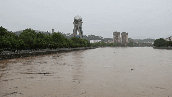 河水淹没全县河流水位上涨明显降雨导致桃江河水倒灌在赣州全南县全南