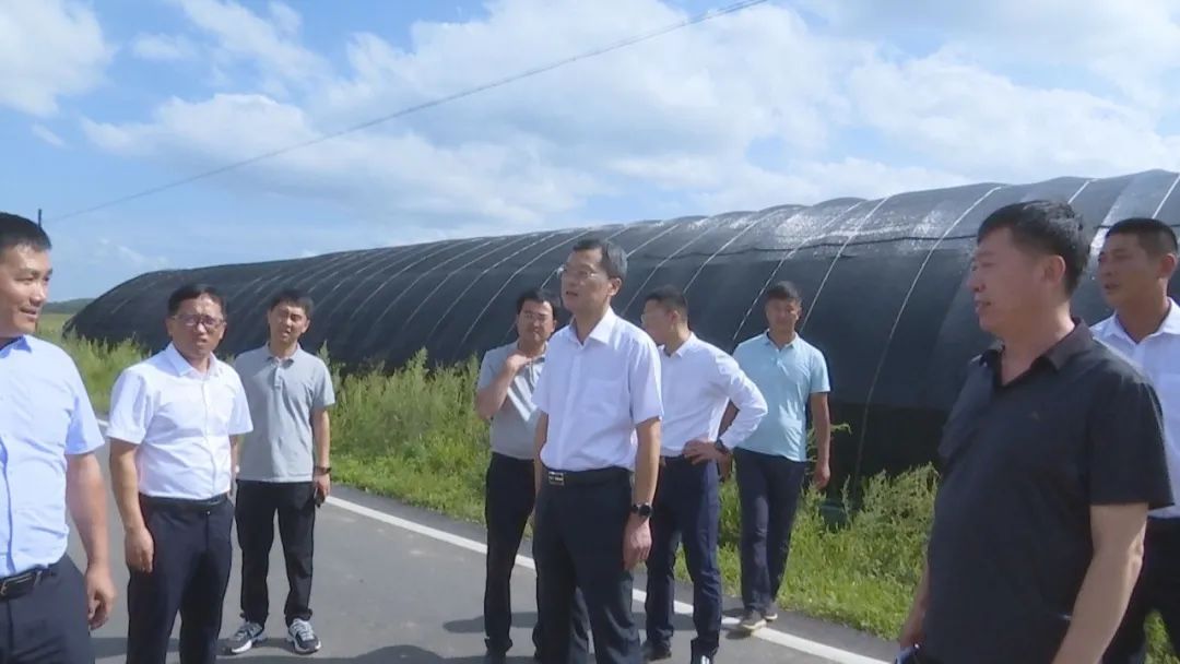 安图县委副书记,县政府代县长郑哲开展调研活动