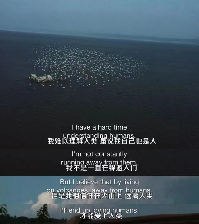 纪录片《火山挚恋》:即使归于尘土,我心永恒