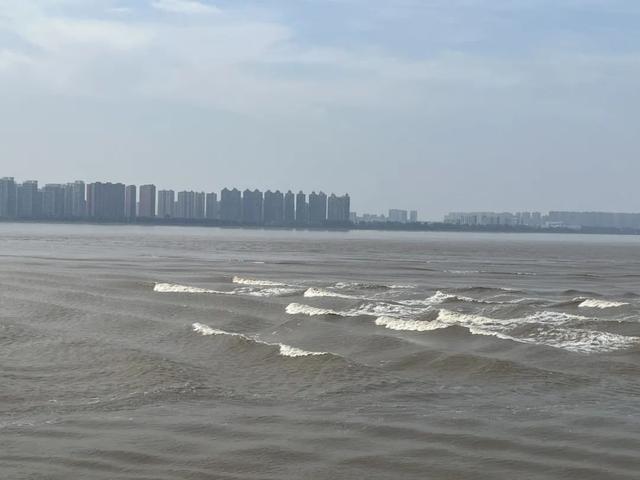 今年的钱江潮大吗最新消息来了