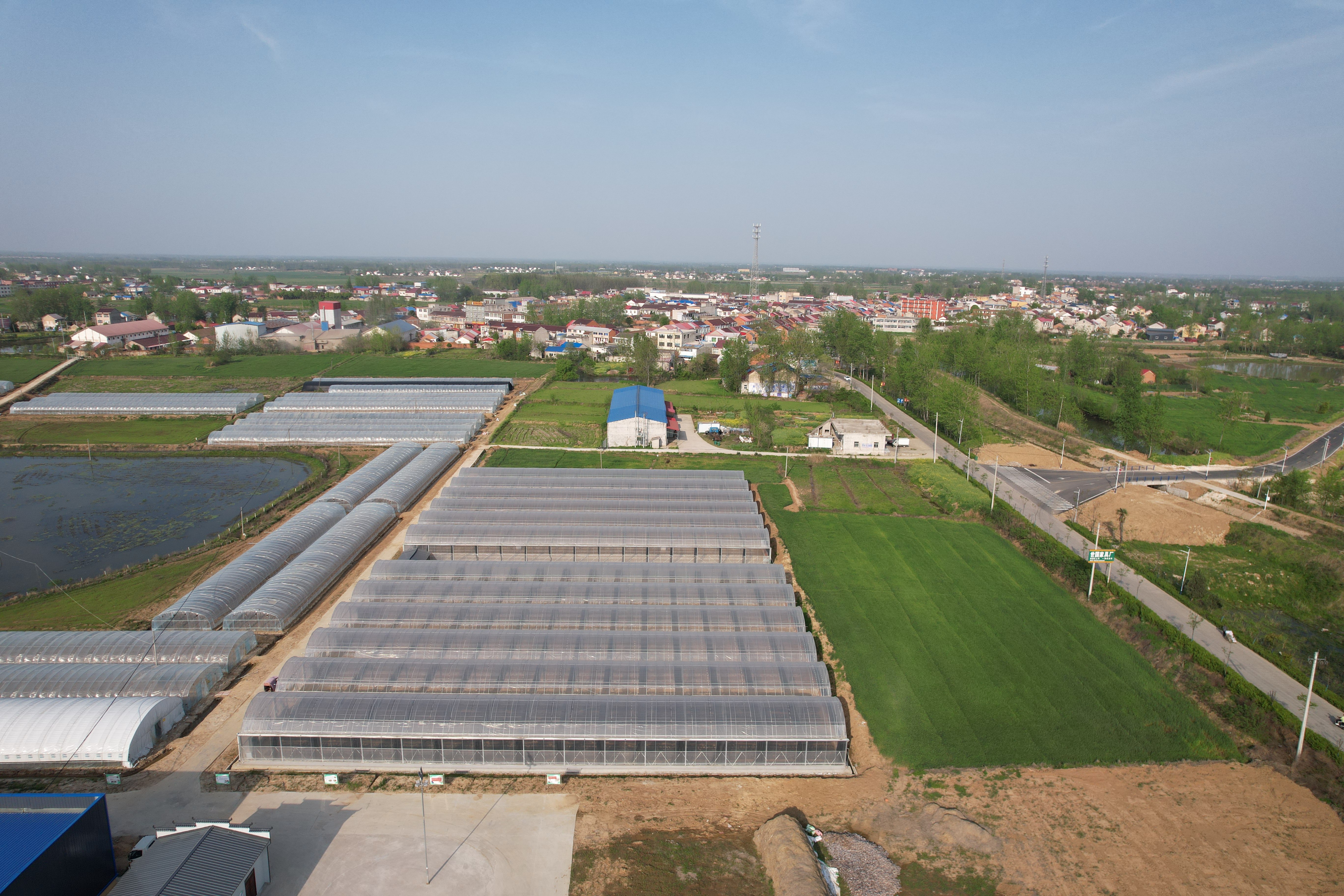 霍邱县扈胡镇:种养殖两翼齐飞 助力乡村振兴